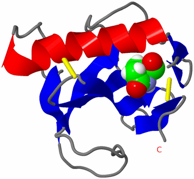 Image NMR Structure - all models