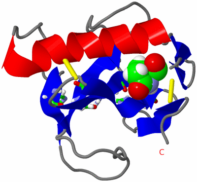 Image NMR Structure - model 1, sites
