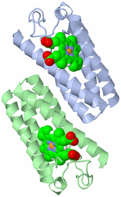 Image Asymmetric Unit