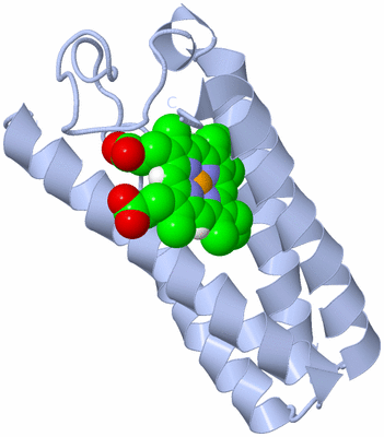 Image Biological Unit 1