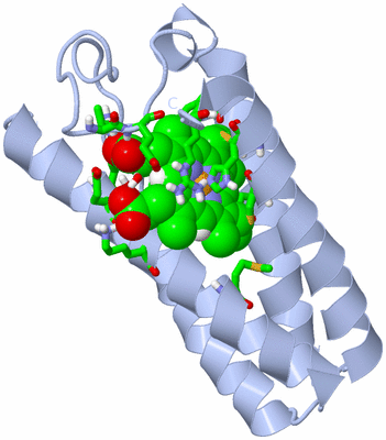 Image Biol. Unit 1 - sites