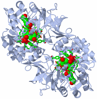 Image Biol. Unit 1 - sites