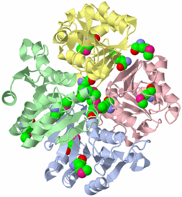 Image Asym./Biol. Unit