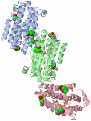 Image Asymmetric Unit