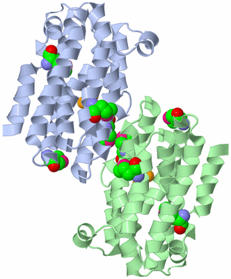 Image Biological Unit 1