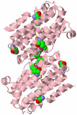Image Biological Unit 2