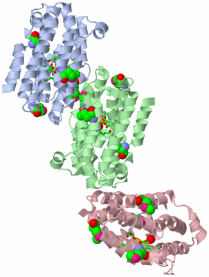 Image Asym. Unit - sites
