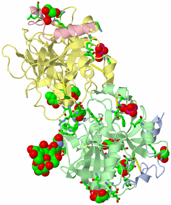 Image Biol. Unit 1 - sites