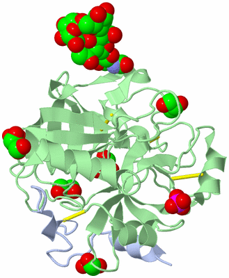 Image Biological Unit 2