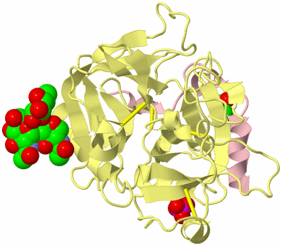 Image Biological Unit 3