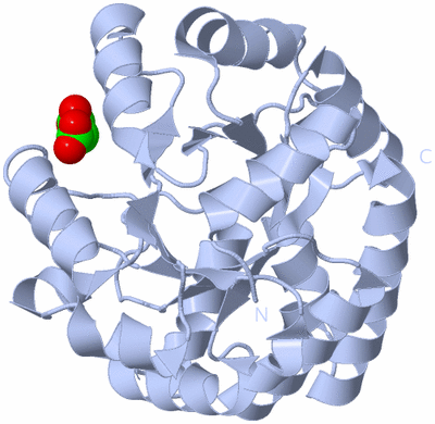 Image Biological Unit 1