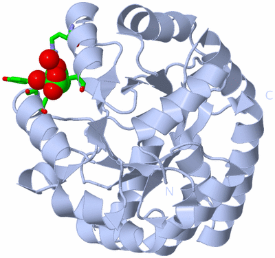 Image Biol. Unit 1 - sites