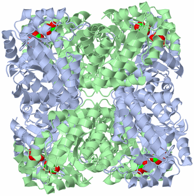 Image Biological Unit 3