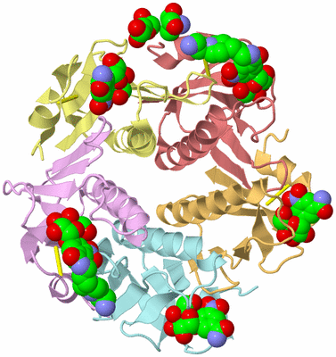 Image Asym./Biol. Unit