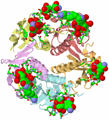 Image Asym./Biol. Unit - sites