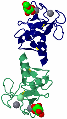 Image Asym./Biol. Unit