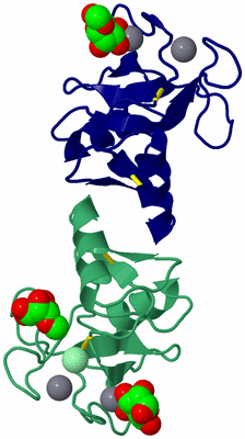 Image Asym./Biol. Unit