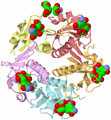 Image Asym./Biol. Unit