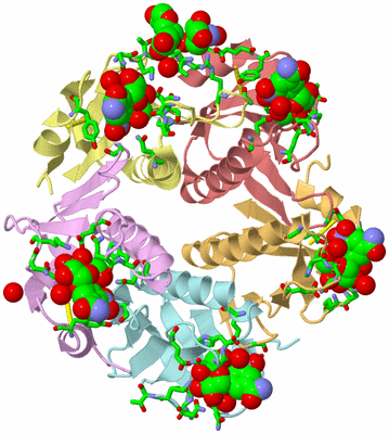 Image Asym./Biol. Unit - sites