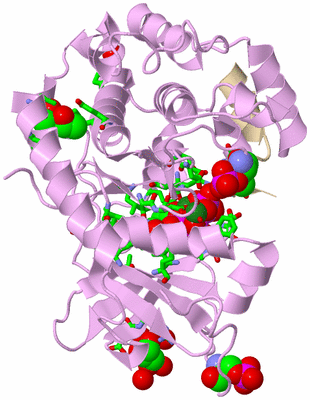 Image Asym./Biol. Unit - sites