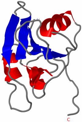 Image NMR Structure - model 1