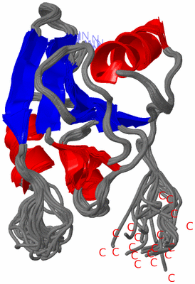 Image NMR Structure - all models