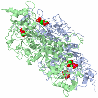 Image Biological Unit 1