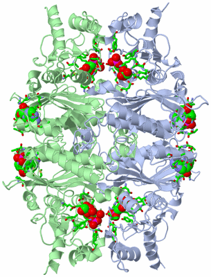 Image Biol. Unit 1 - sites