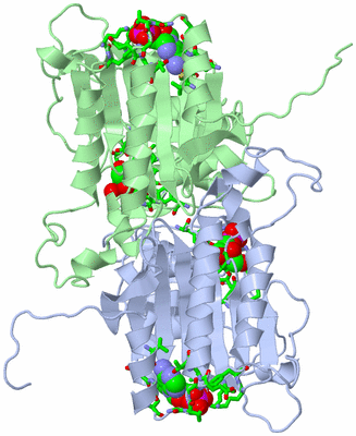 Image Asym. Unit - sites