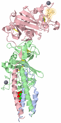 Image Biological Unit 1