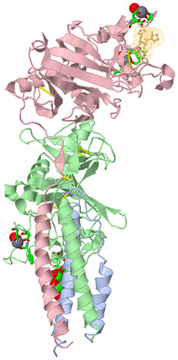 Image Biol. Unit 1 - sites