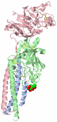 Image Biological Unit 1