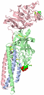 Image Biol. Unit 1 - sites