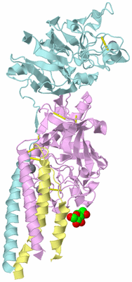 Image Biological Unit 2