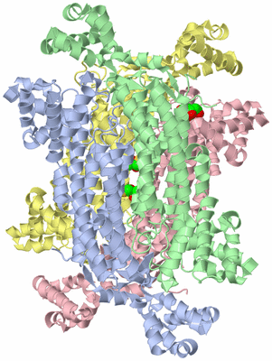 Image Asym./Biol. Unit