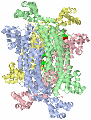 Image Asym./Biol. Unit - sites