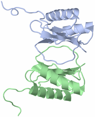 Image NMR Structure - model 1