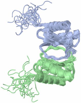 Image NMR Structure - all models