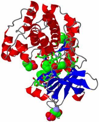 Image Asym./Biol. Unit - sites