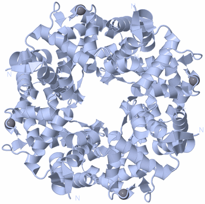 Image Biological Unit 1