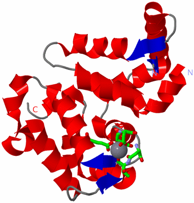 Image Asym. Unit - sites