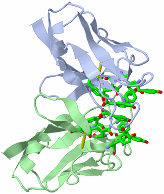 Image Asym./Biol. Unit - sites