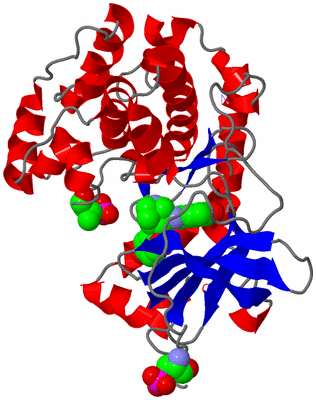 Image Asym./Biol. Unit