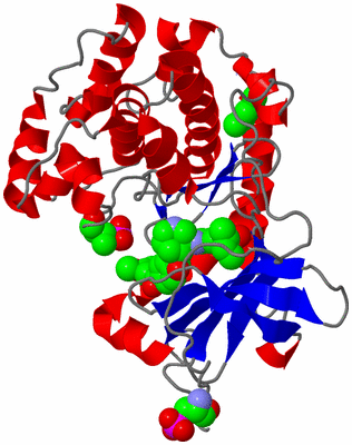 Image Asym./Biol. Unit