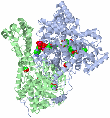 Image Biological Unit 1