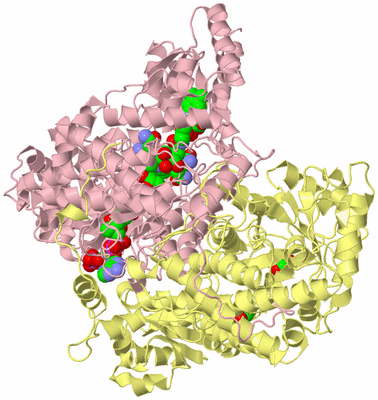 Image Biological Unit 2