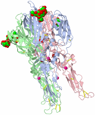 Image Biological Unit 1