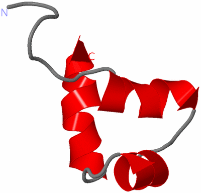 Image NMR Structure - all models