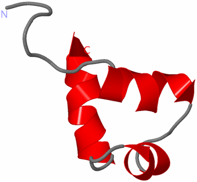 Image NMR Structure - model 1