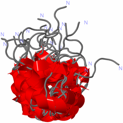 Image NMR Structure - all models